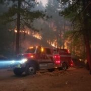 Wildland
